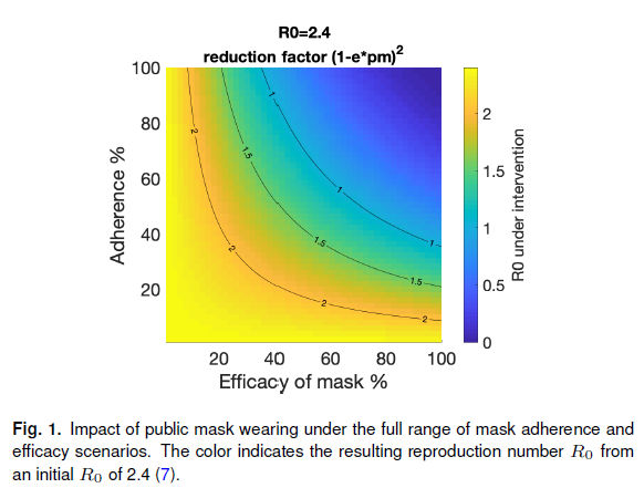 Impact of public mask wearing