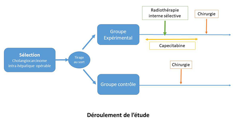 Déroulement de l'étude