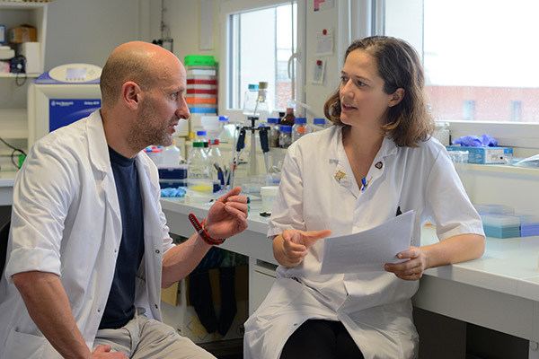 Projet YODA chercheurs Projet YODA chercheurs